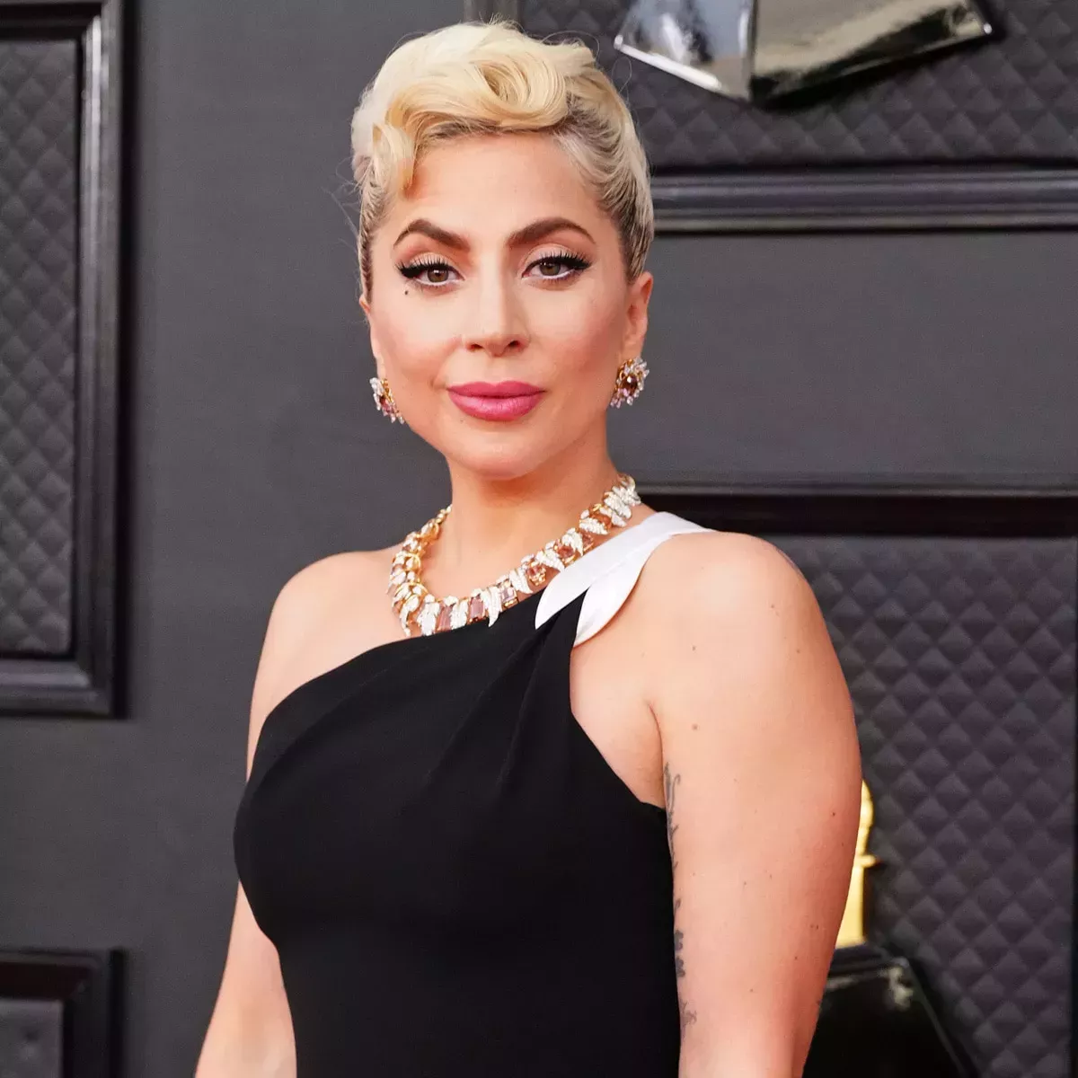 Lady Gaga demandada por una mujer acusada del robo de un perro que pide 500.000 dólares de recompensa