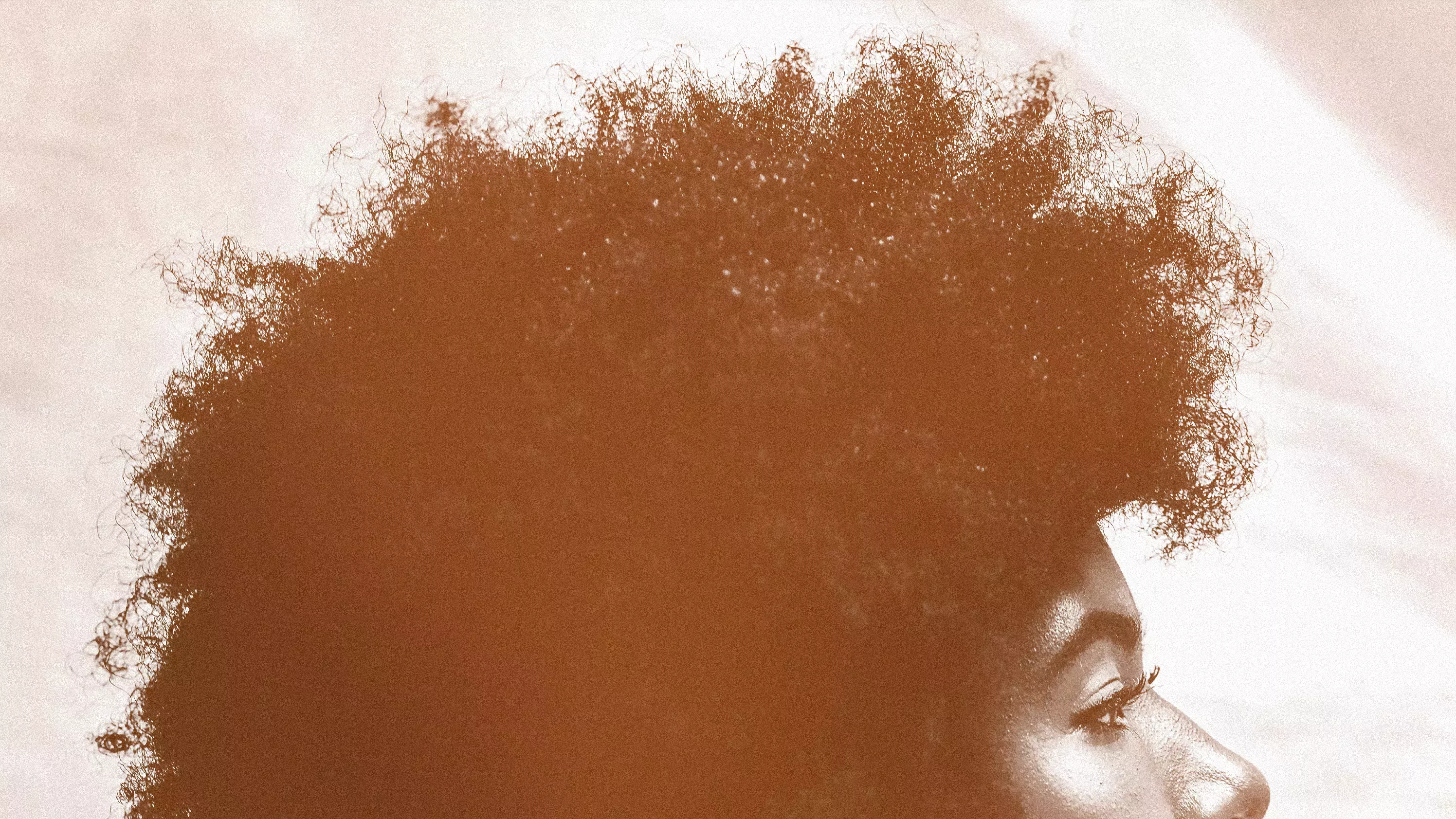 ¿Dónde están todas las extensiones de pelo texturizado (de calidad)?