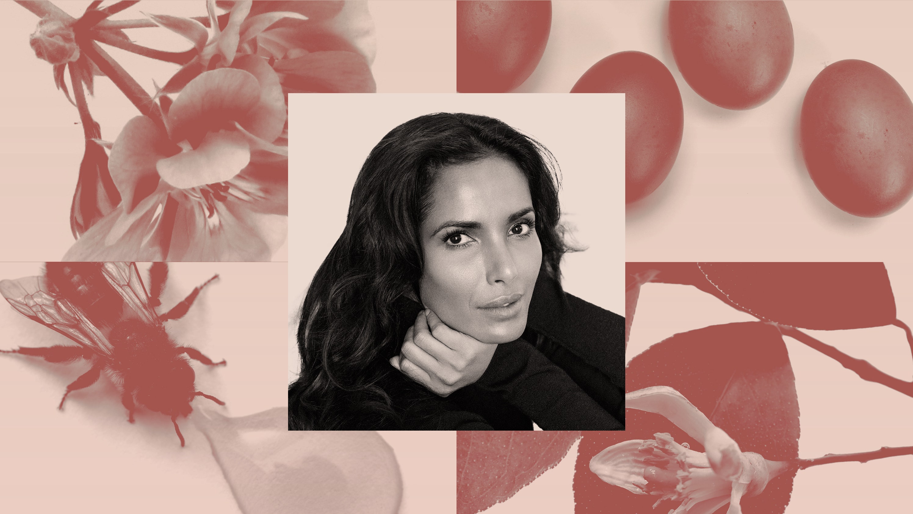 Padma Lakshmi odia tu tabla de mantequilla de moda en TikTok