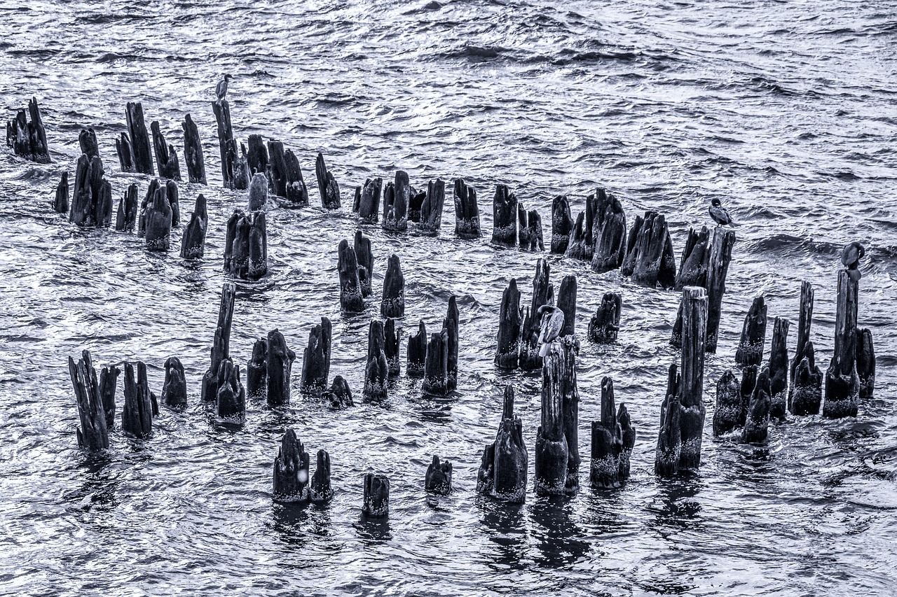 ¿Cómo hacer ondas desordenadas con plancha?