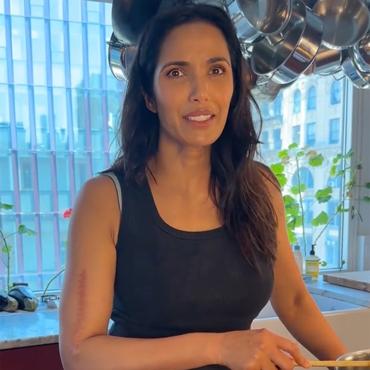 Padma Lakshmi responde a quien la odia diciendo que tiene "brazos gordos"