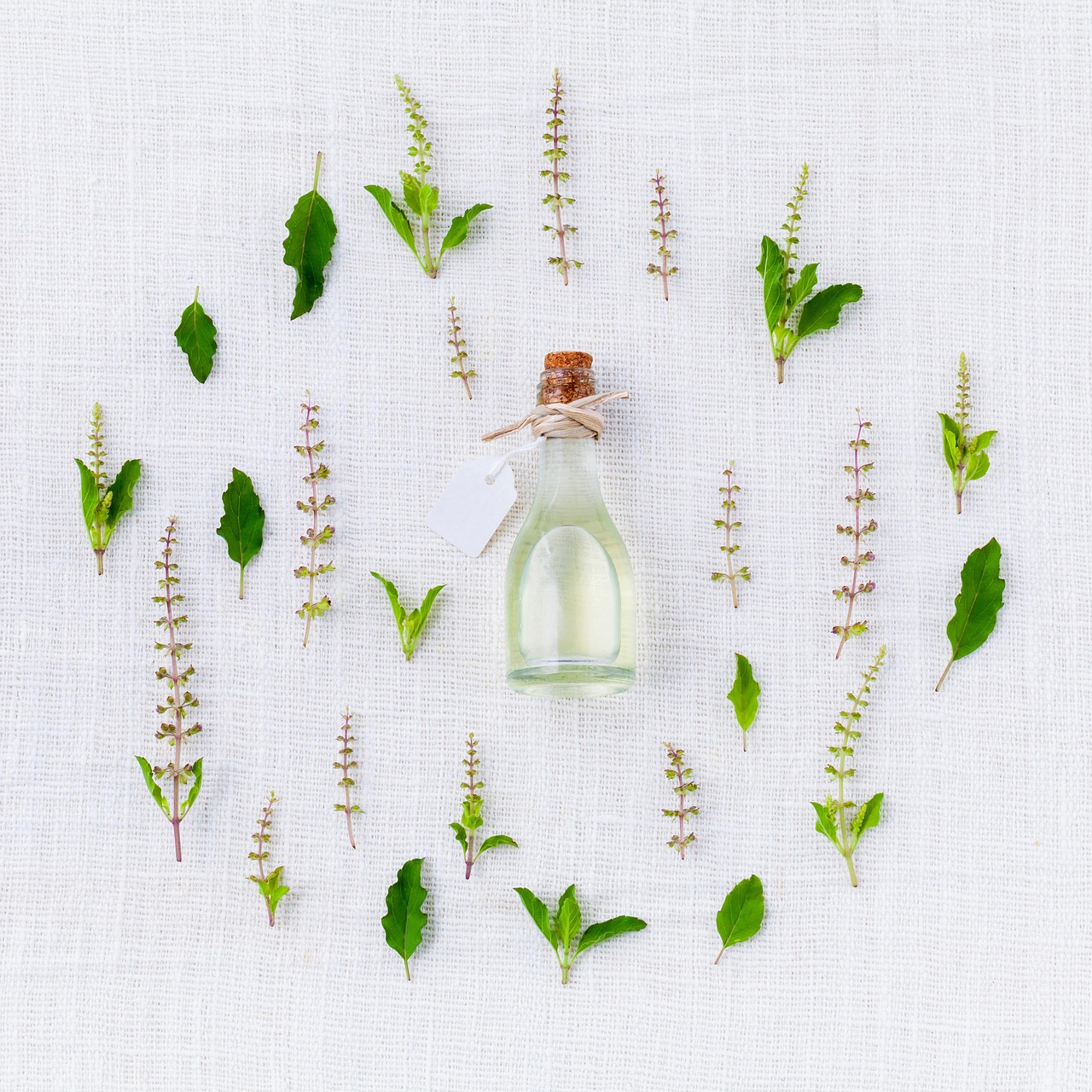 ¿Qué es la aromaterapia científica?
