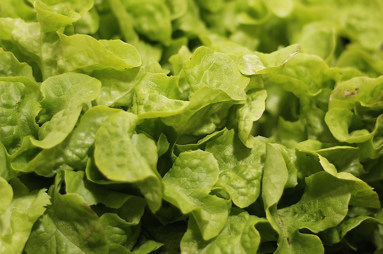 ¿Que se prepara en la cocina fría?