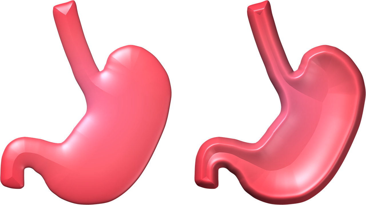¿Se debe tomar Maca con el estómago vacío?