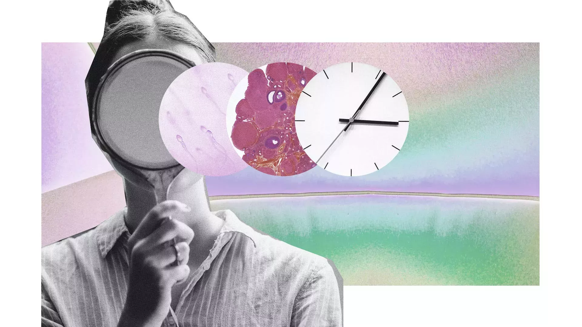 Nos han vendido una mentira sobre el precipicio de la fertilidad