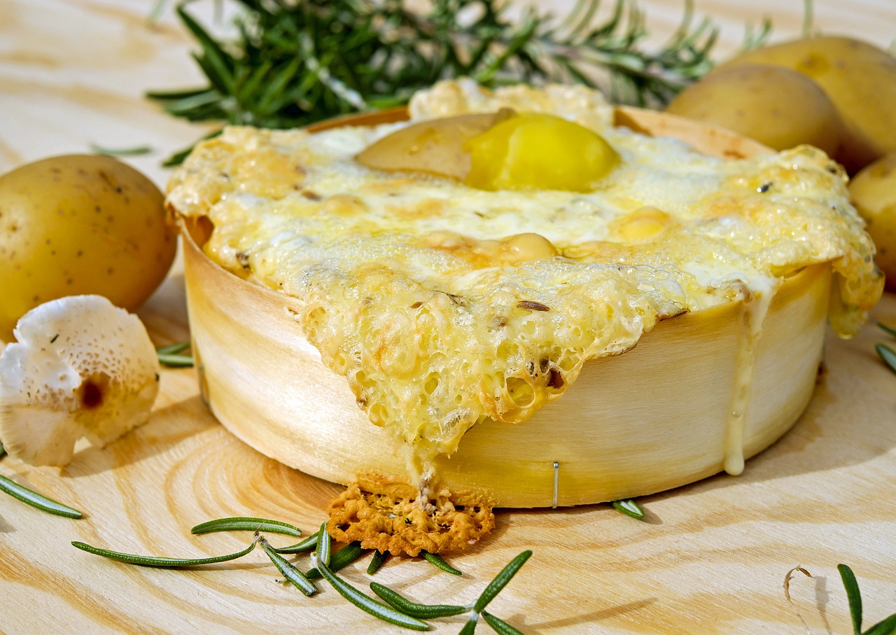 ¿Qué tipo de queso no contiene grasa?