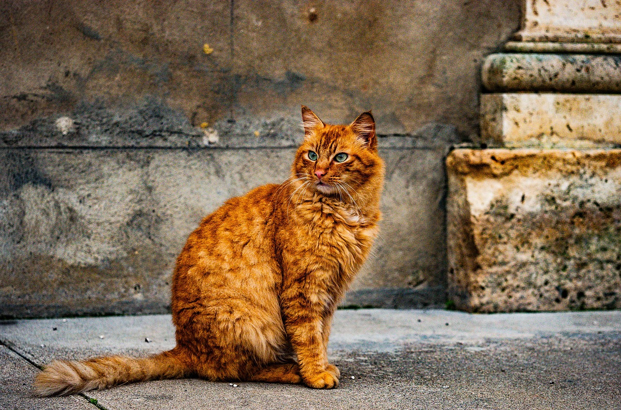 ¿Qué hacer si tengo un ojo caído?