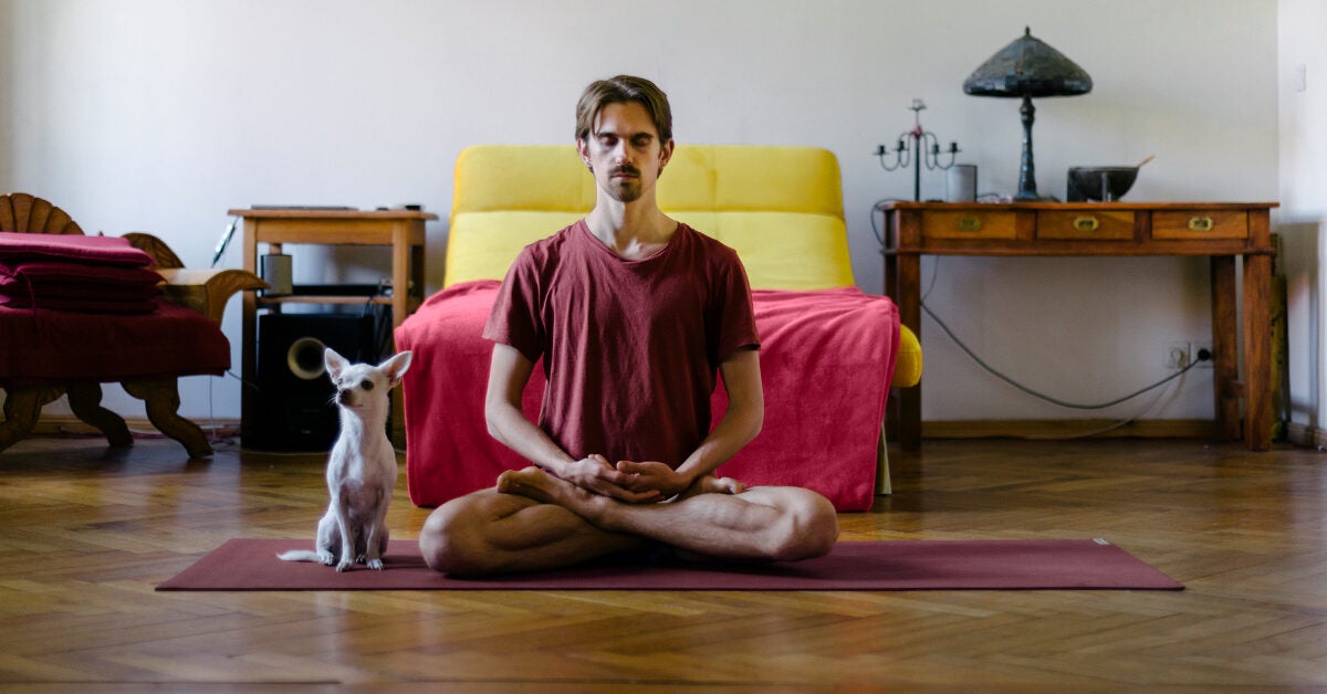 14 remedios naturales para la enfermedad de Crohn: Esto es lo que realmente funciona