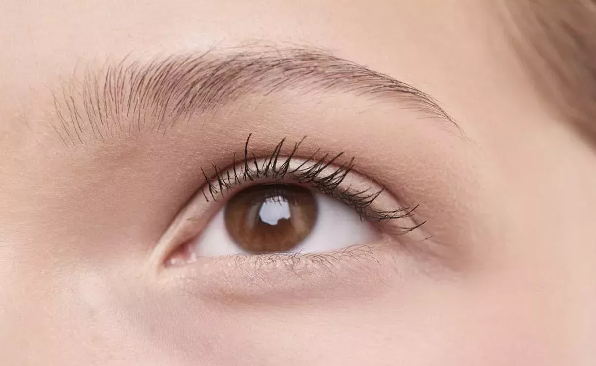5 Ingredientes naturales que te ayudarán a tener pestañas largas y gruesas más rápido