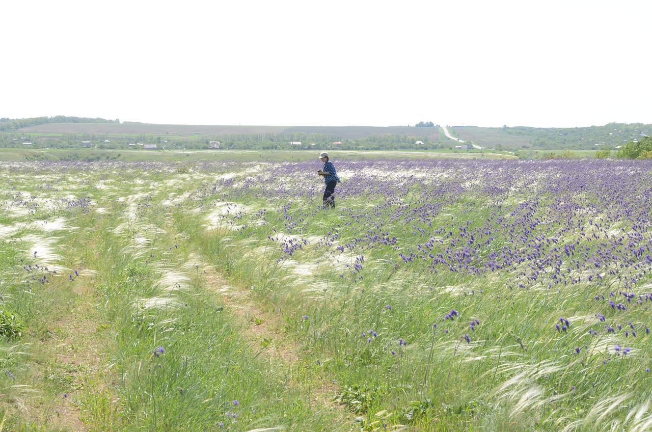 Is A stepper good for cardio?