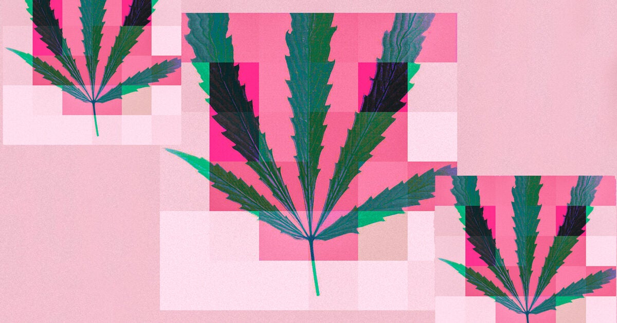 ¿Pueden el CBD y la hierba aliviar la migraña y los dolores de cabeza?