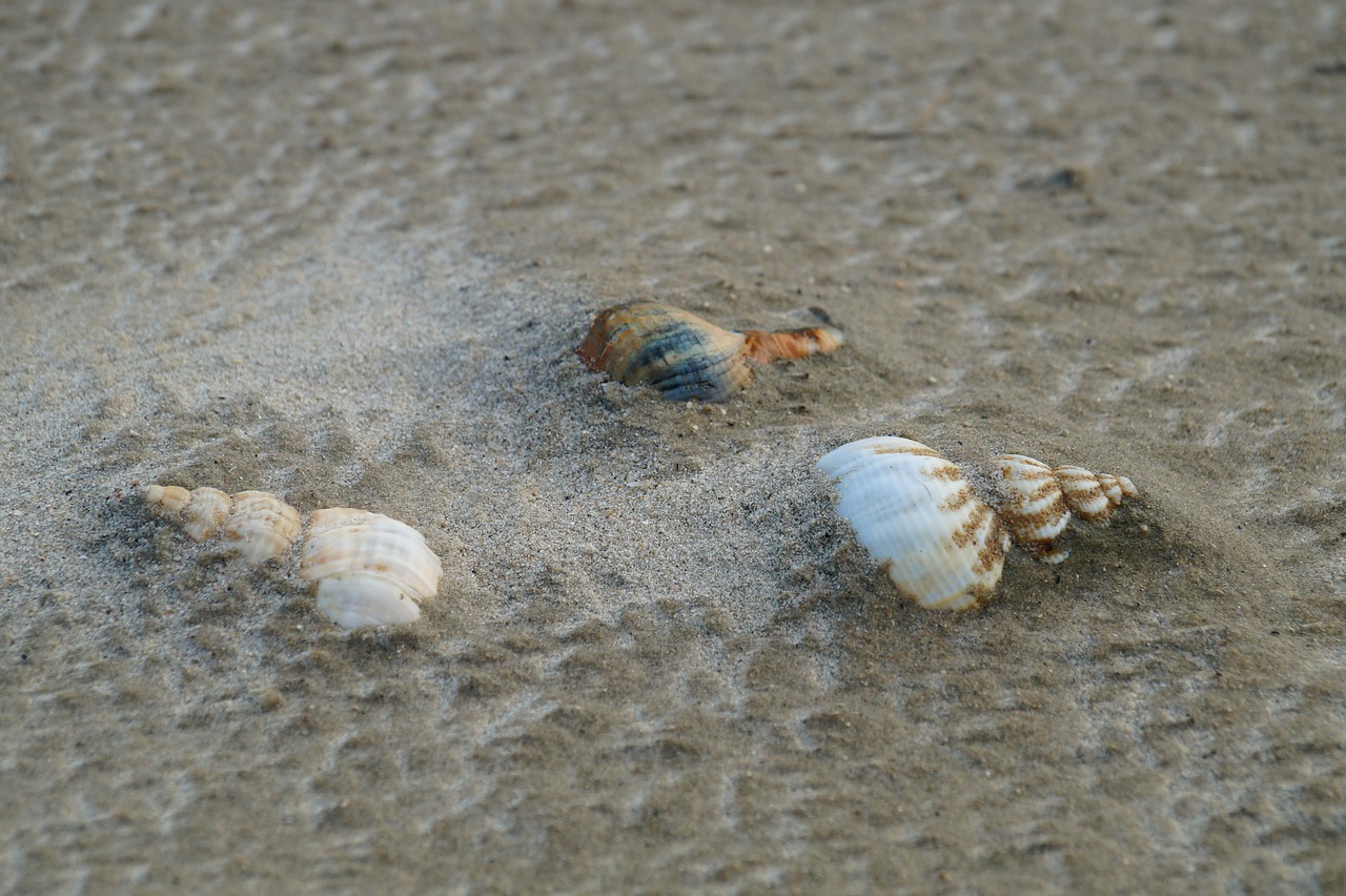 ¿Cómo aprender a hacer bien las ondas pelo con plancha?