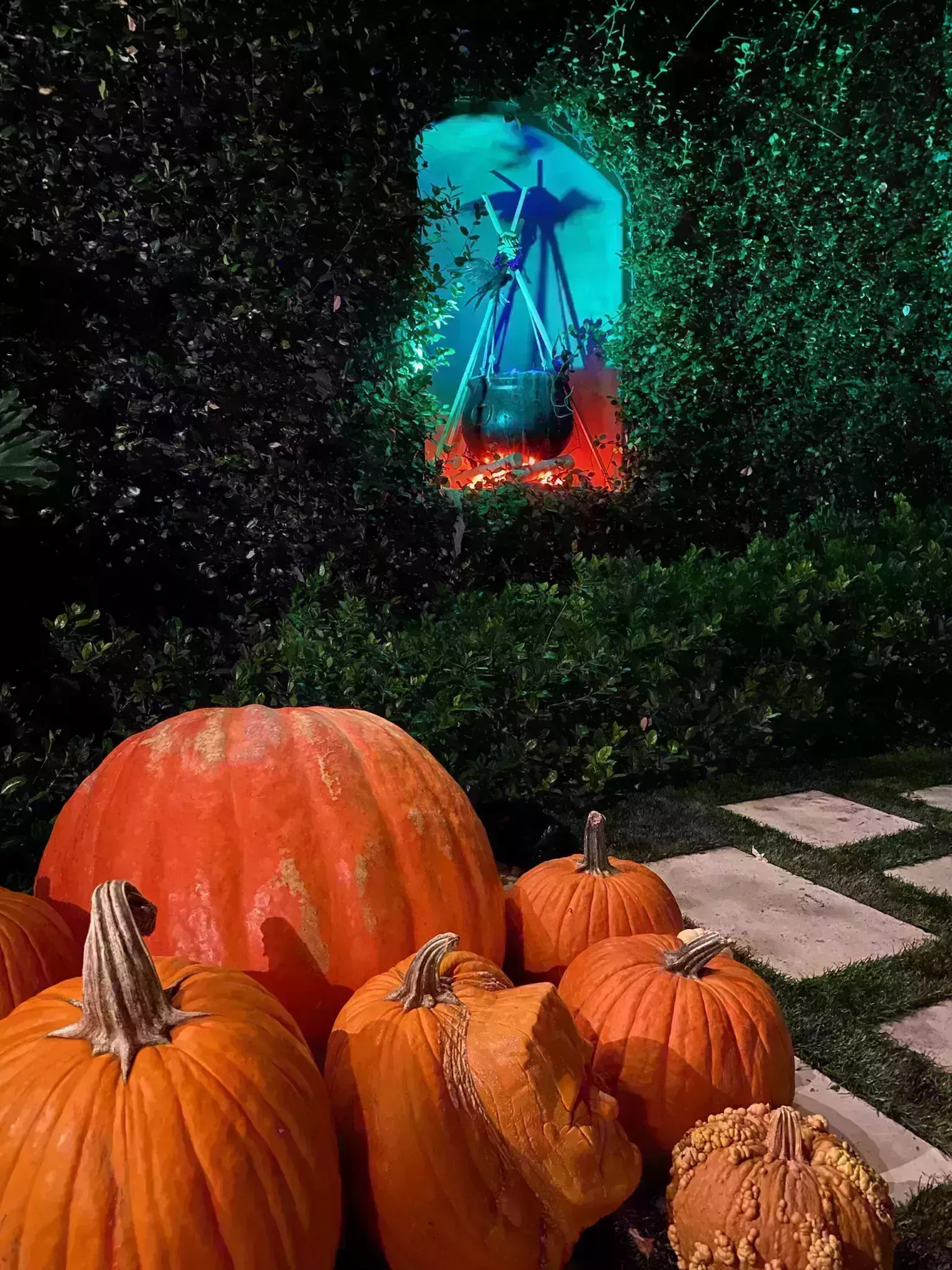 Under $50 Halloween Decorations Inspired by Kourt-2