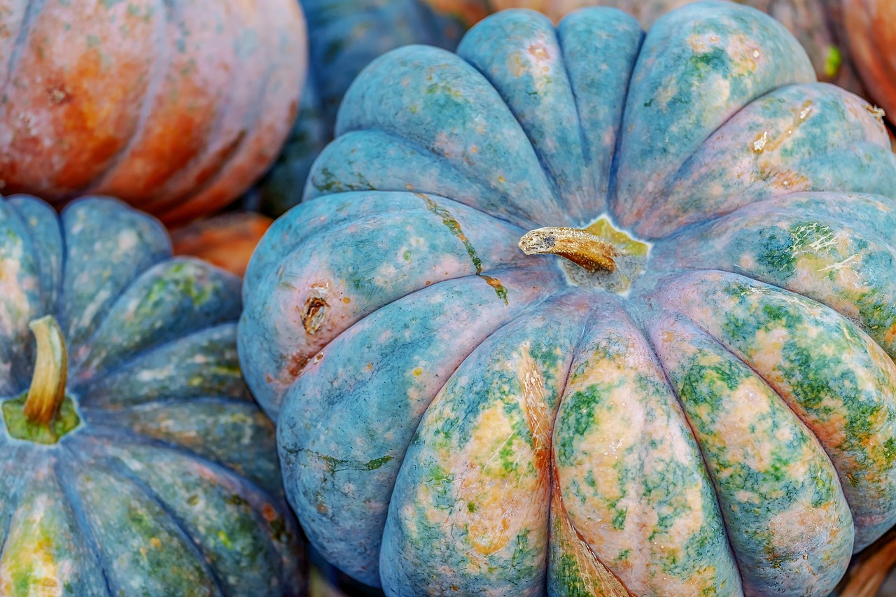 ¿Cómo es el olor musk? ¿Cómo es el olor musk?