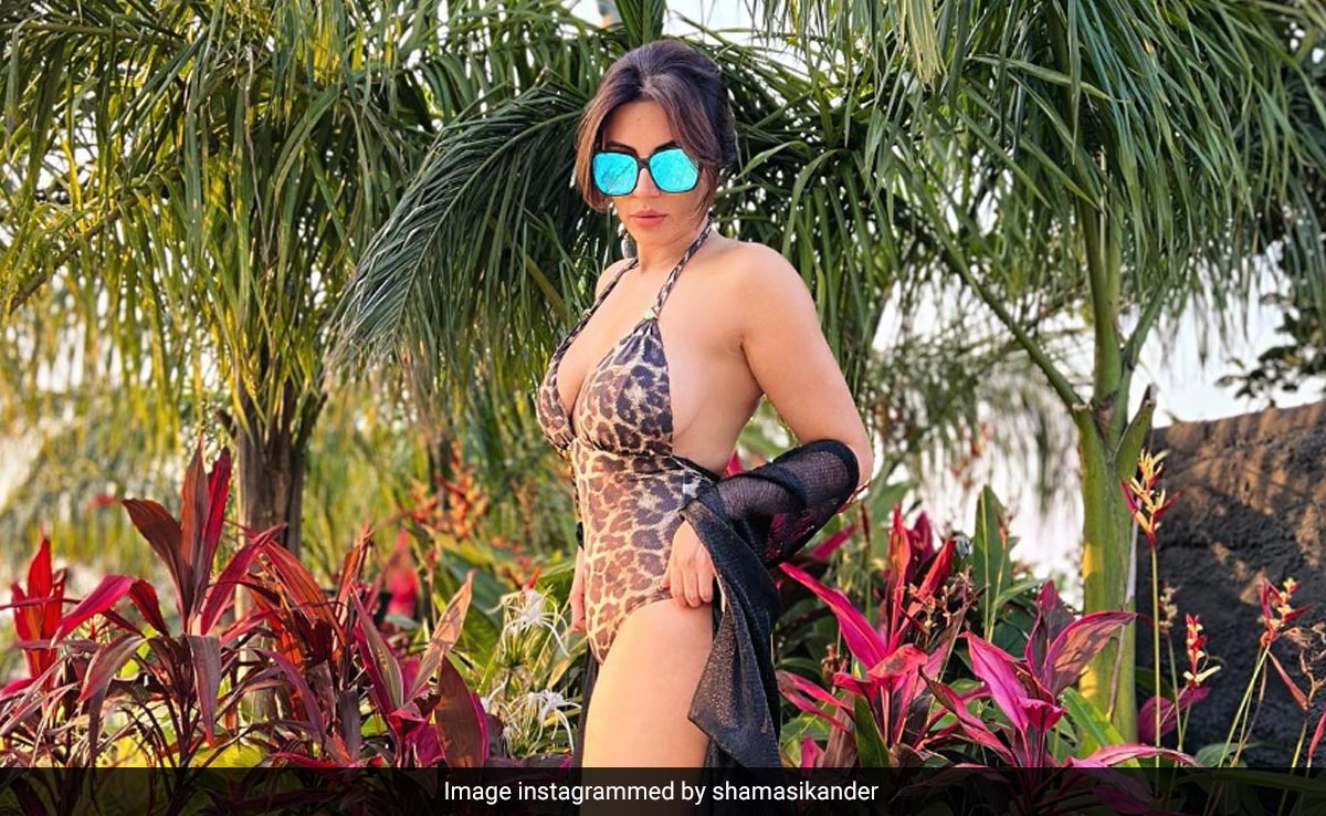 Shama Sikander se refleja y resplandece con un bañador de estampado feroz