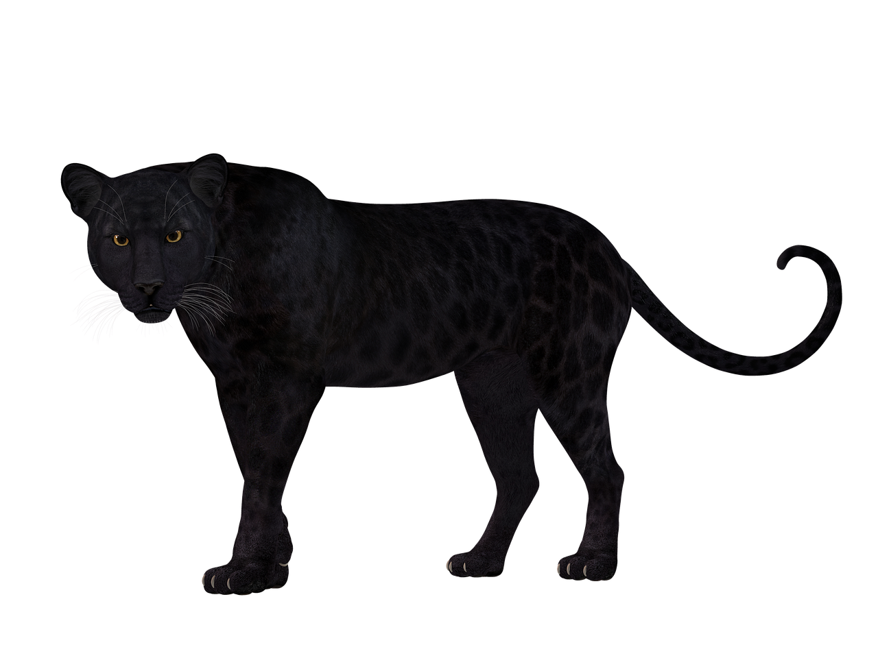 ¿Cuál es el mejor tratamiento para quitar las manchas en la cara?