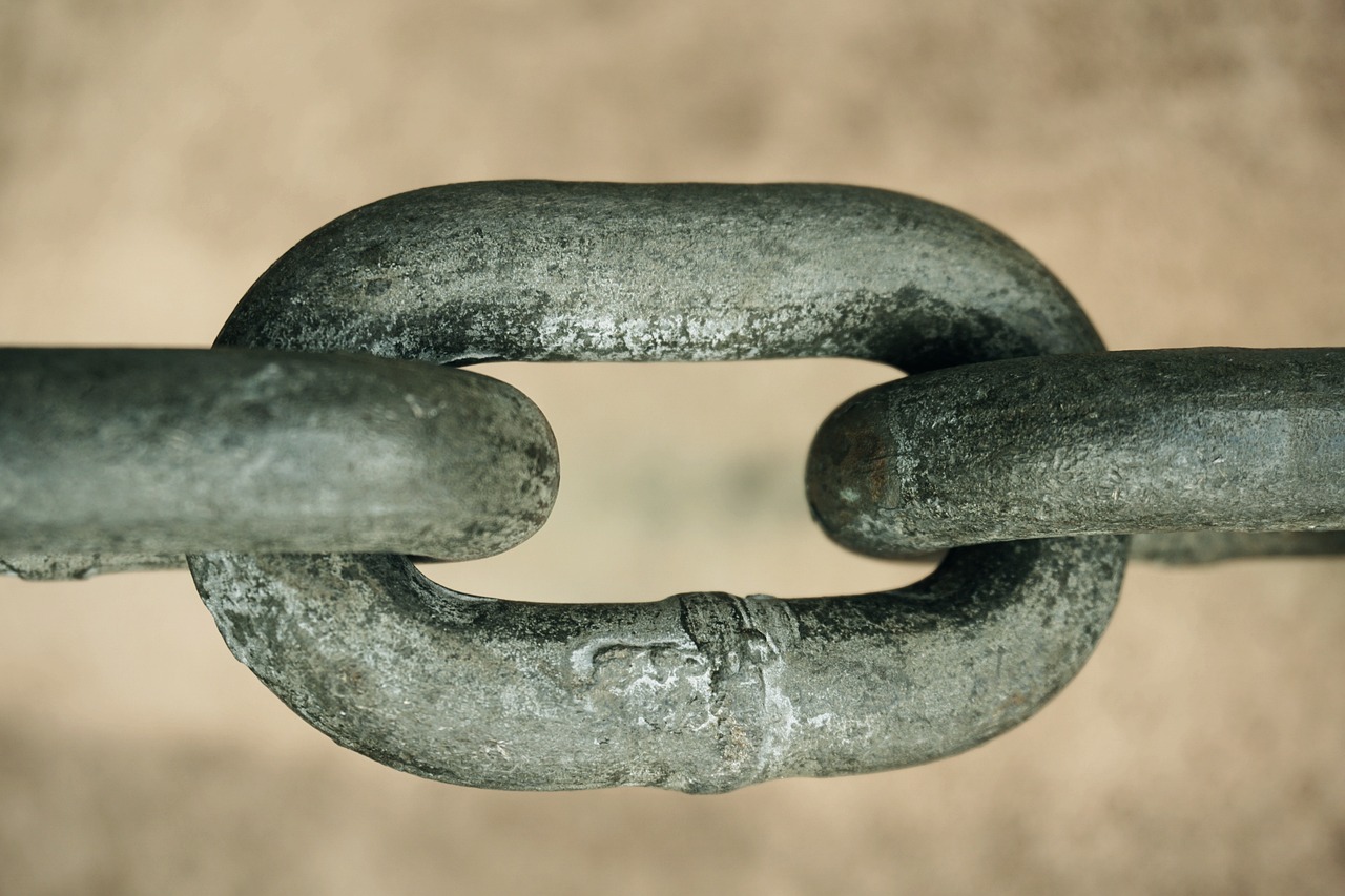 ¿Cuáles son los ejercicios para fortalecer los brazos?