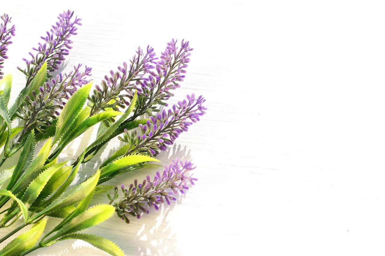 ¿Qué beneficios tiene el Herbal Essences?
