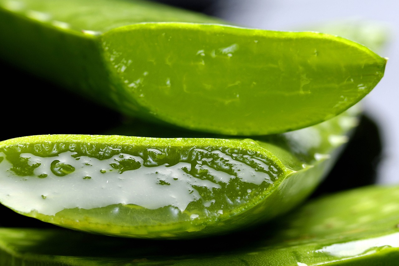 ¿Qué productos se hacen con aloe vera?