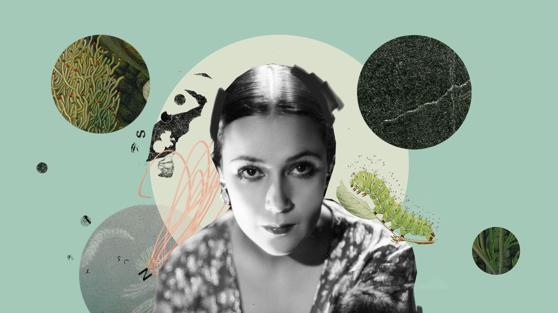 La personalidad de un Tauro, explicada