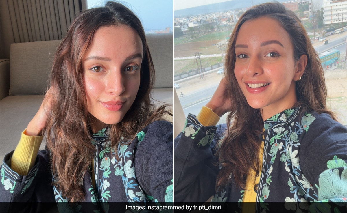 Los labios y mejillas rosados de Triptii Dimri sobre un rostro desnudo son la esencia de la belleza primaveral