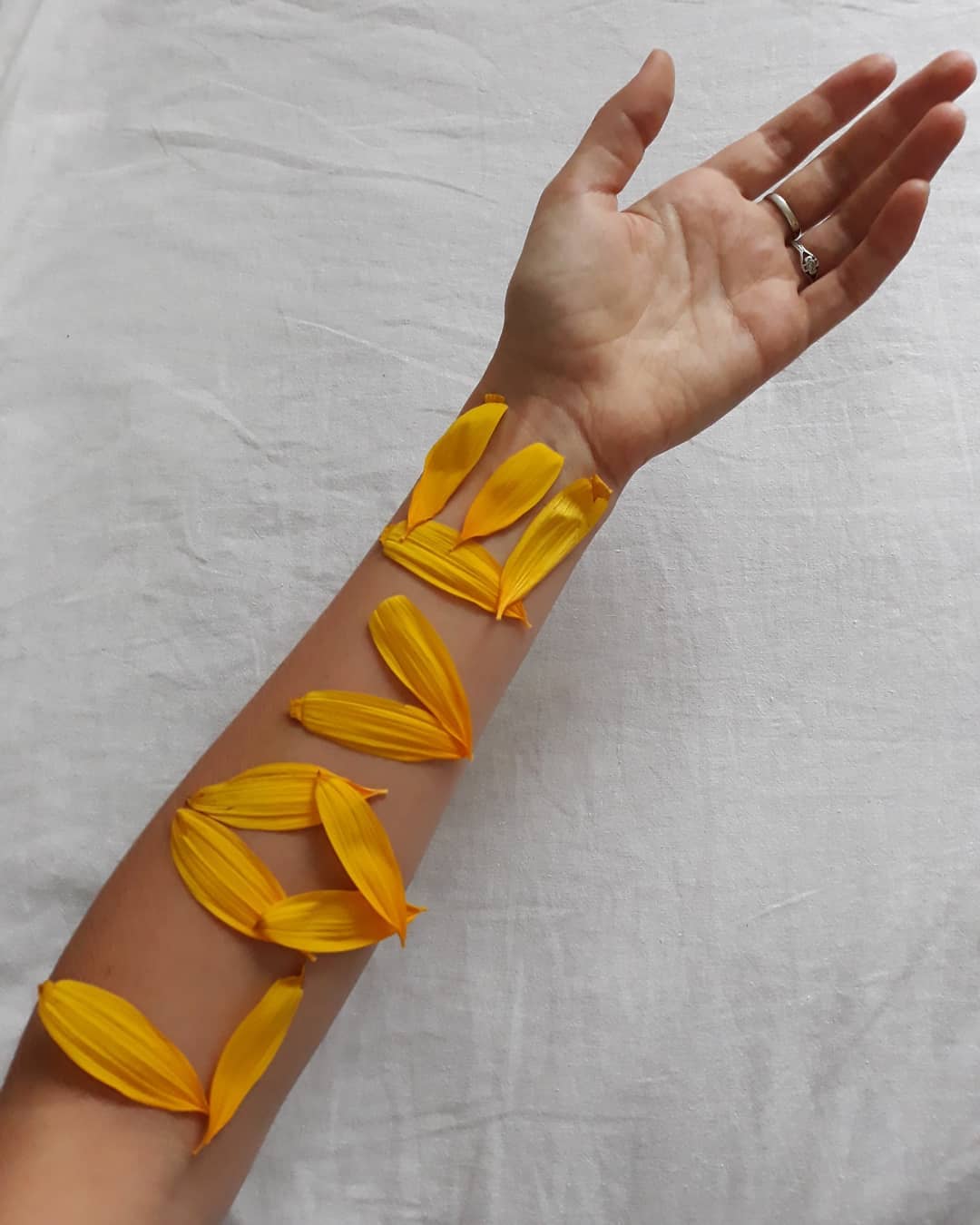 10 APHRODISIACAS HERBALES que ayudan a combatir la libido baja