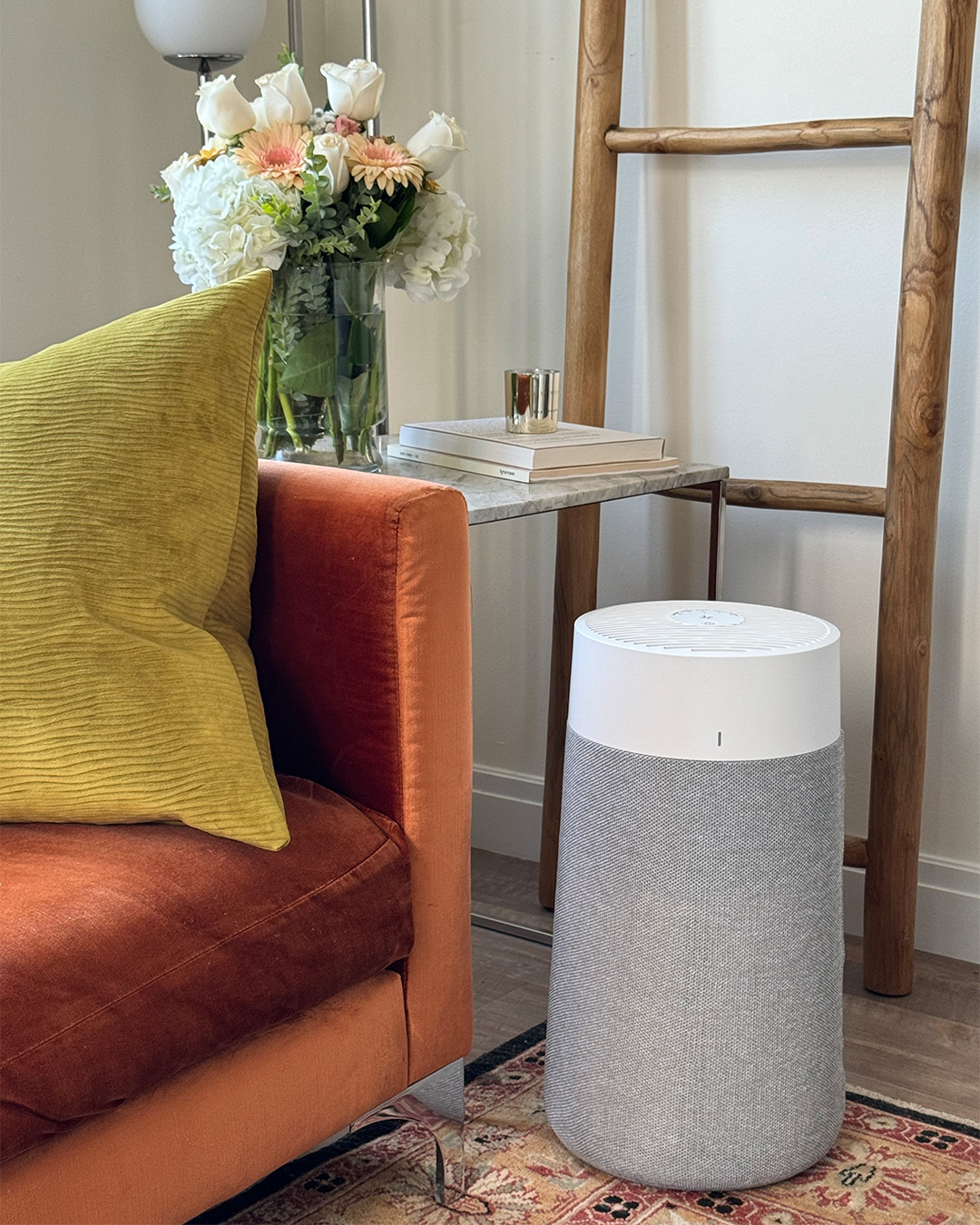 Por qué es importante mantener limpio el aire de casa