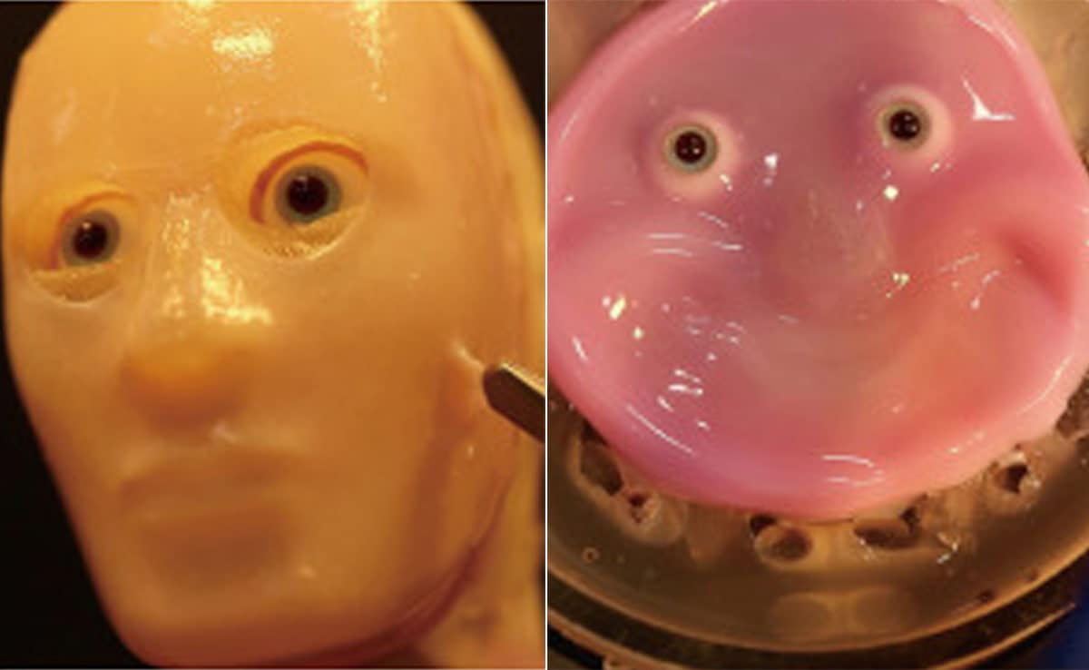 Científicos japoneses utilizan colágeno para fabricar robots sonrientes con "piel viva"
