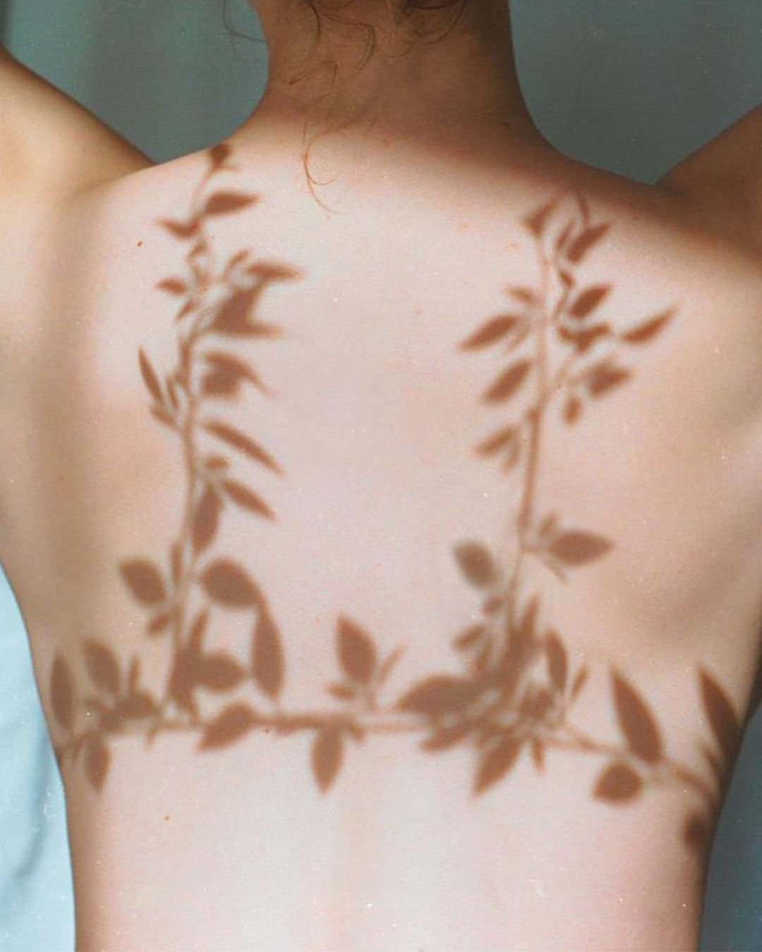 El árnica es un remedio universal