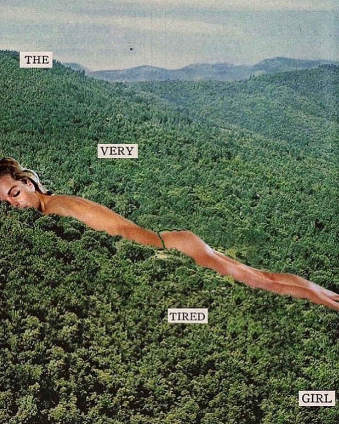 ¿Qué es el baño de bosque? 