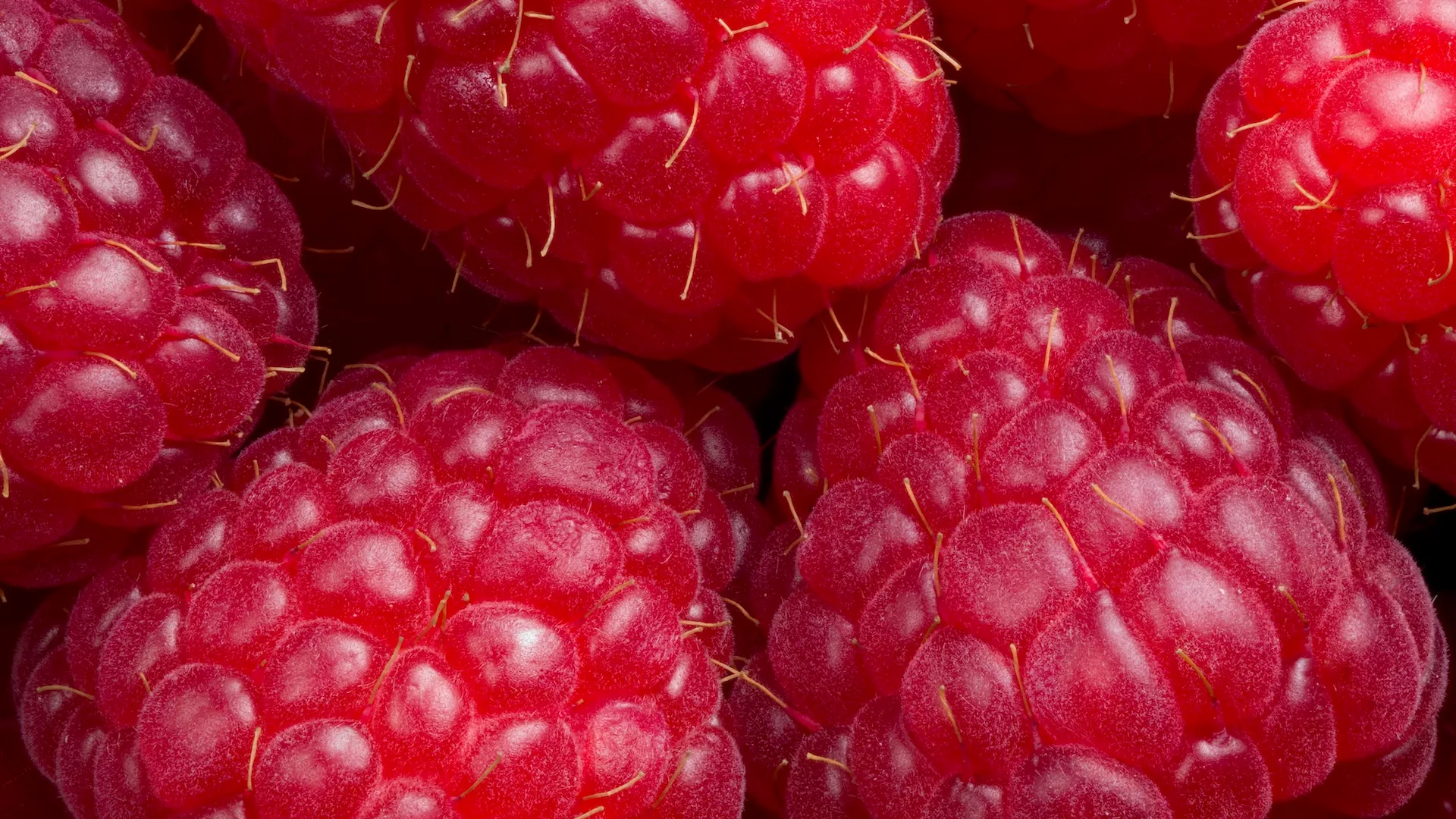 Alimentos nutritivos y amigables con la piel para una complexión radiante