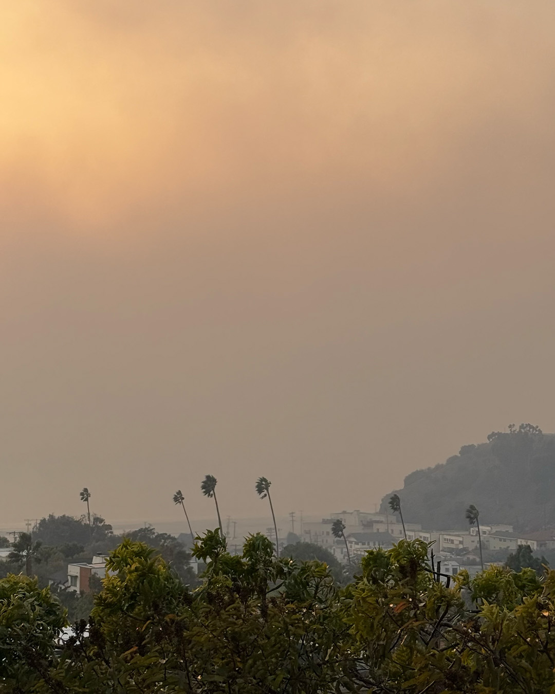 Formas de Ayudar a Proteger Tu Salud Contra el Humo de Incendios Forestales