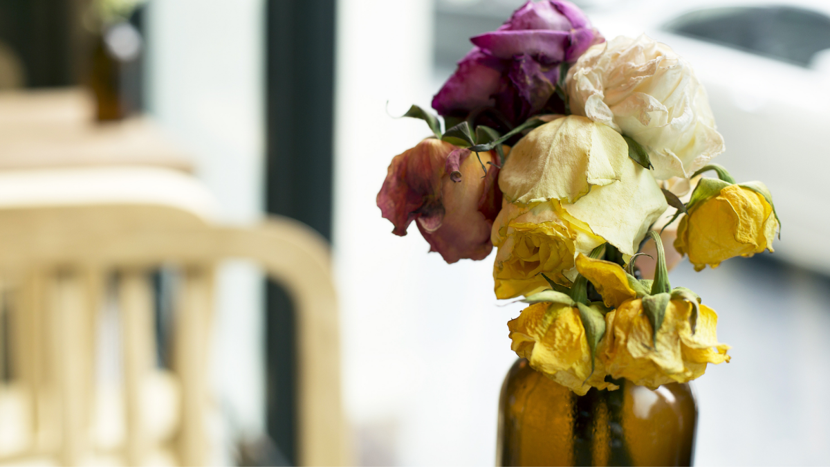 Mis Regalos de San Valentín Más Pensativos (Que No Son Flores)