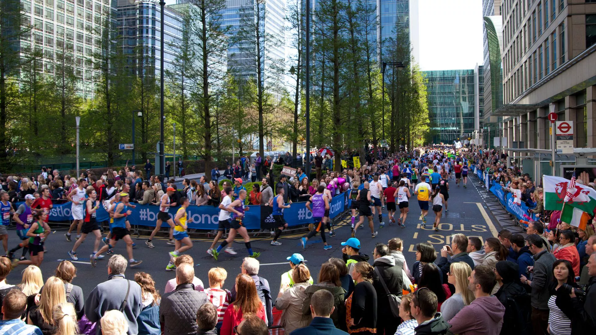 Maratones de Bucket List alrededor del mundo, de Londres a Tokio