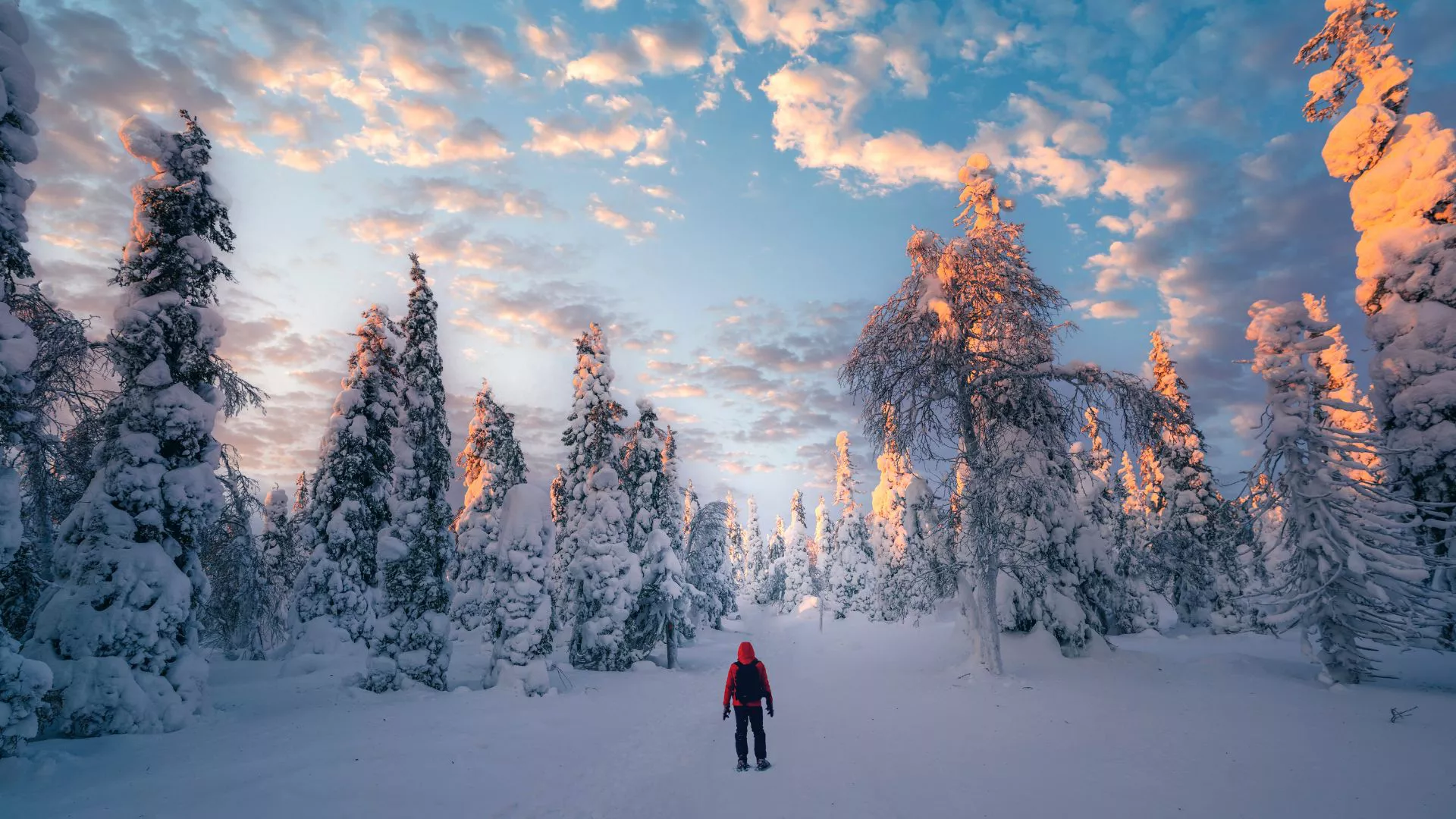 Maratones de Bucket List alrededor del mundo, de Londres a Tokio