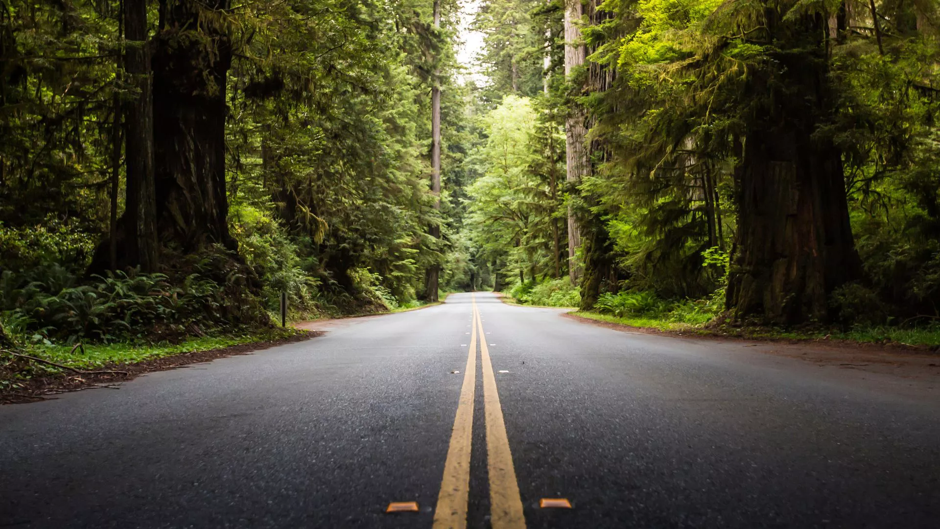 Maratones de Bucket List alrededor del mundo, de Londres a Tokio