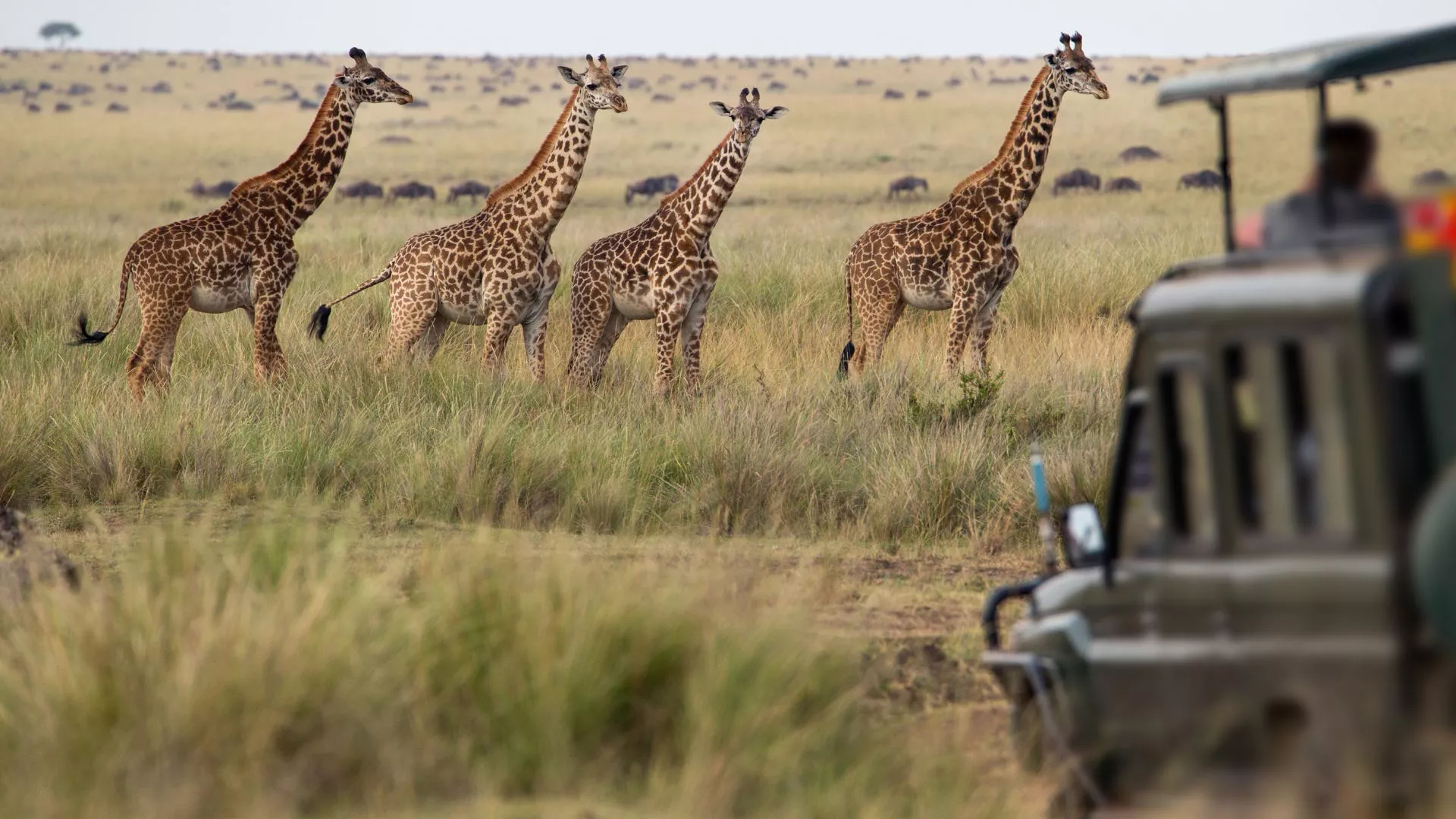 Maratones de Bucket List alrededor del mundo, de Londres a Tokio
