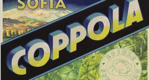 Nuevas camisetas Levi's