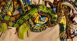 Tendencia del invierno: Print de pitón