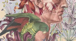 Juan Gatti en la Fresh Gallery ¡expo obligada!