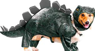 Halloween para tu mascota