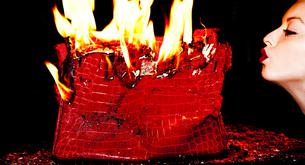 La hija de Clint Eastwood destroza un Birkin de Hermés