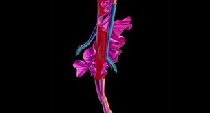 Disney pone a dieta a sus personajes