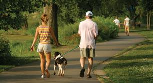 Maneras sencillas con las que quemar calorías 