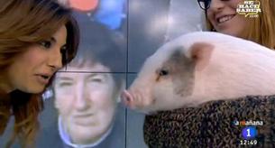 El nuevo programa de Mariló Montero en solitario