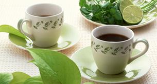 Bebidas que te ayudan a adelgazar