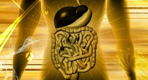 Siete partes del cuerpo que ya no son necesarias