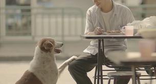 Unsung Hero: el anuncio de seguros tailandés conmueve en la red