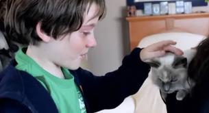 Mira cómo reaccionan estos niños al encontrar a su gata perdida