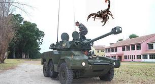 Un tanque embiste a un coche en Granada por... ¡una picadura de alacrán en un testículo!